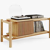 Wooden hifi media console with vinyl shelf