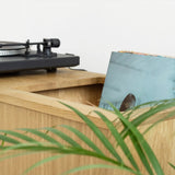 Vinyl Record Storage Cabinet for Turntable & LP Collection