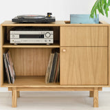 Vinyl Record Storage Cabinet for Turntable & LP Collection