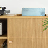 Vinyl Record Storage Cabinet for Turntable & LP Collection